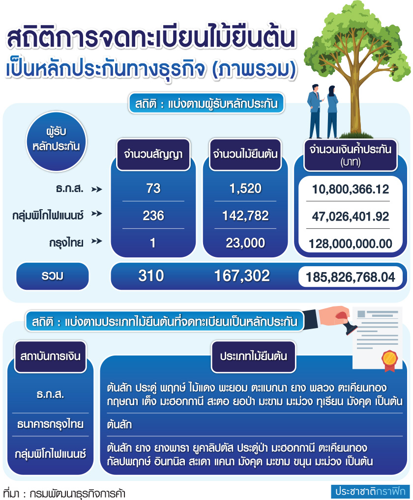ไม้ยืนต้น หลักประกัน