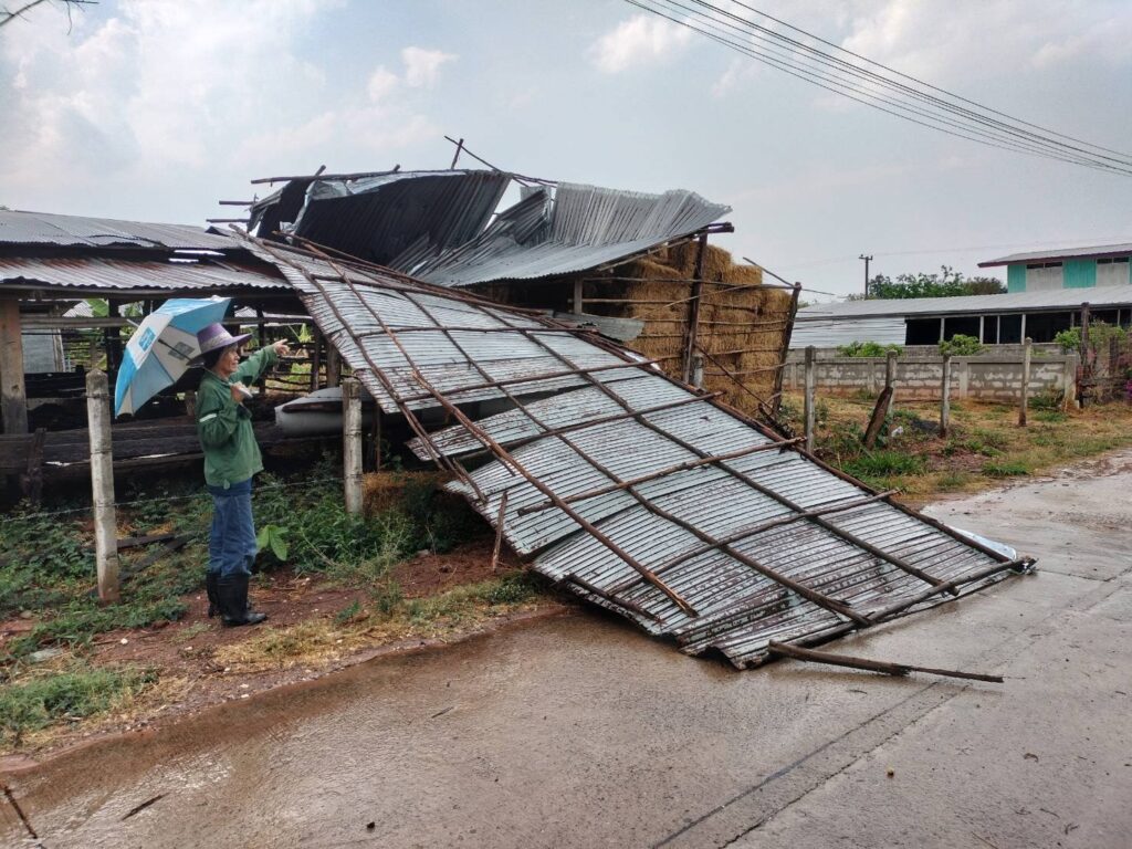 พายุฤดูร้อน