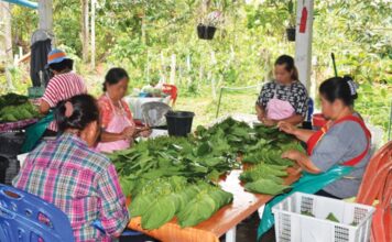 betel