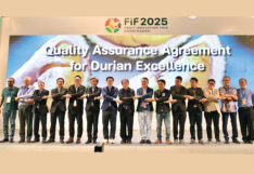 The future of durian