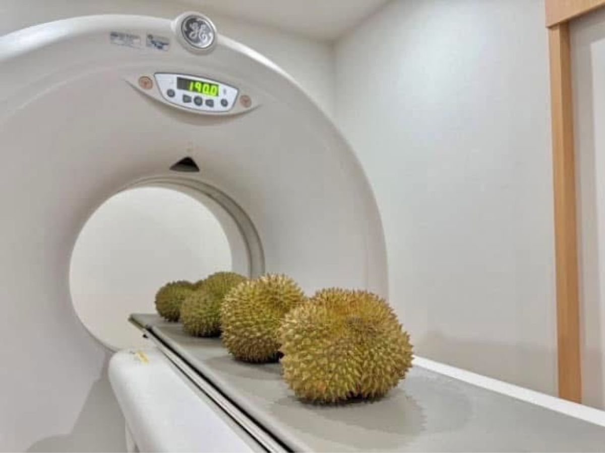 ‘ARDA’ สร้างเครื่อง CT-Scan ทุเรียนสุดล้ำประมวลผลด้วยระบบ AI