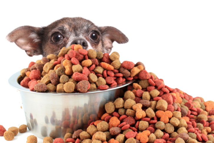 Pet Food Pet Humanization สัตว์เลี้ยง อาหารสัตว์เลี้ยง Pet Food Pet Humanization สัตว์เลี้ยง อาหารสัตว์เลี้ยง