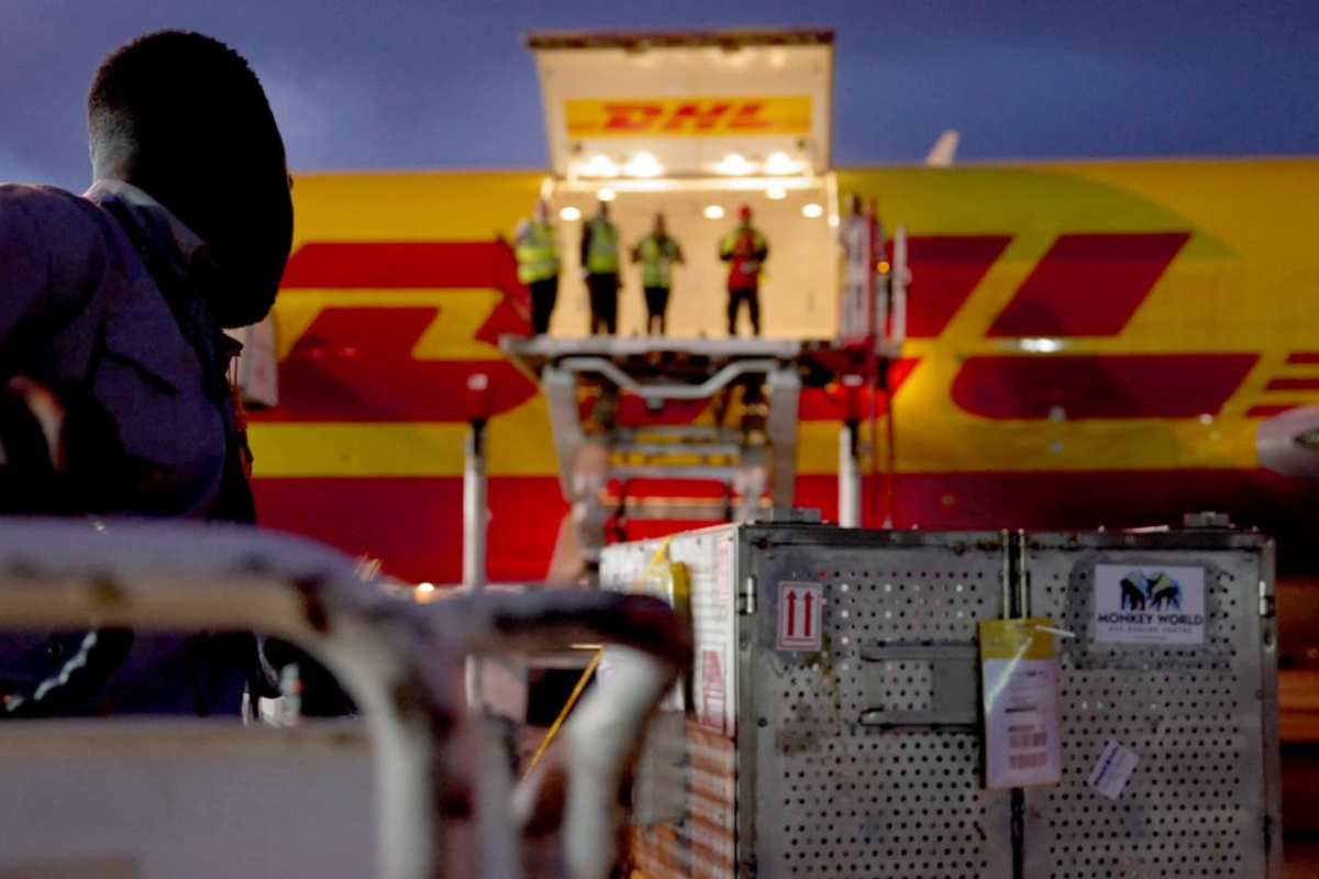 DHL ปลดพนักงาน 8,000 คน แต่ยังขยายลงทุนในไทย