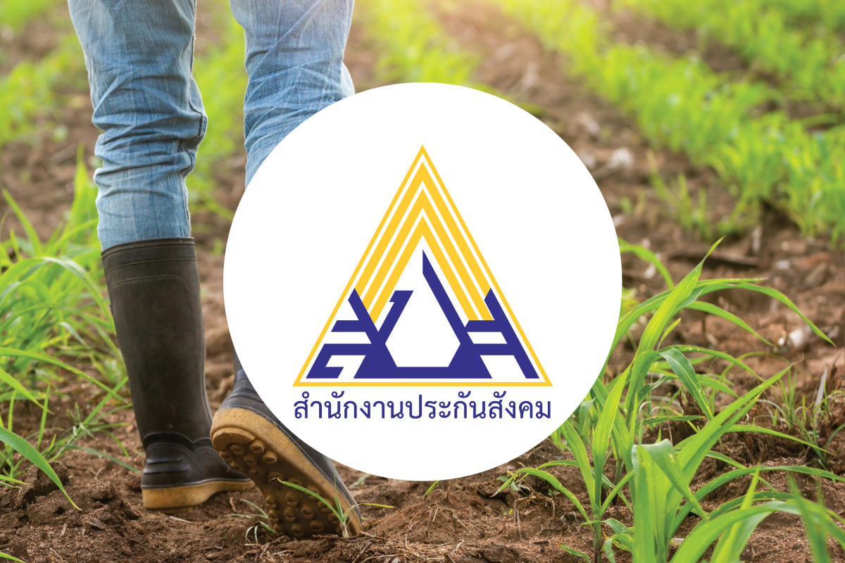 เปิดแล้ว! รับฟังความเห็น เพิ่ม 3 กลุ่มอาชีพ เข้า ม.33 ถึง 15 มี.ค. 68