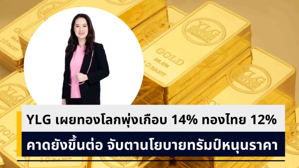 นางสาวฐิภา นววัฒนทรัพย์