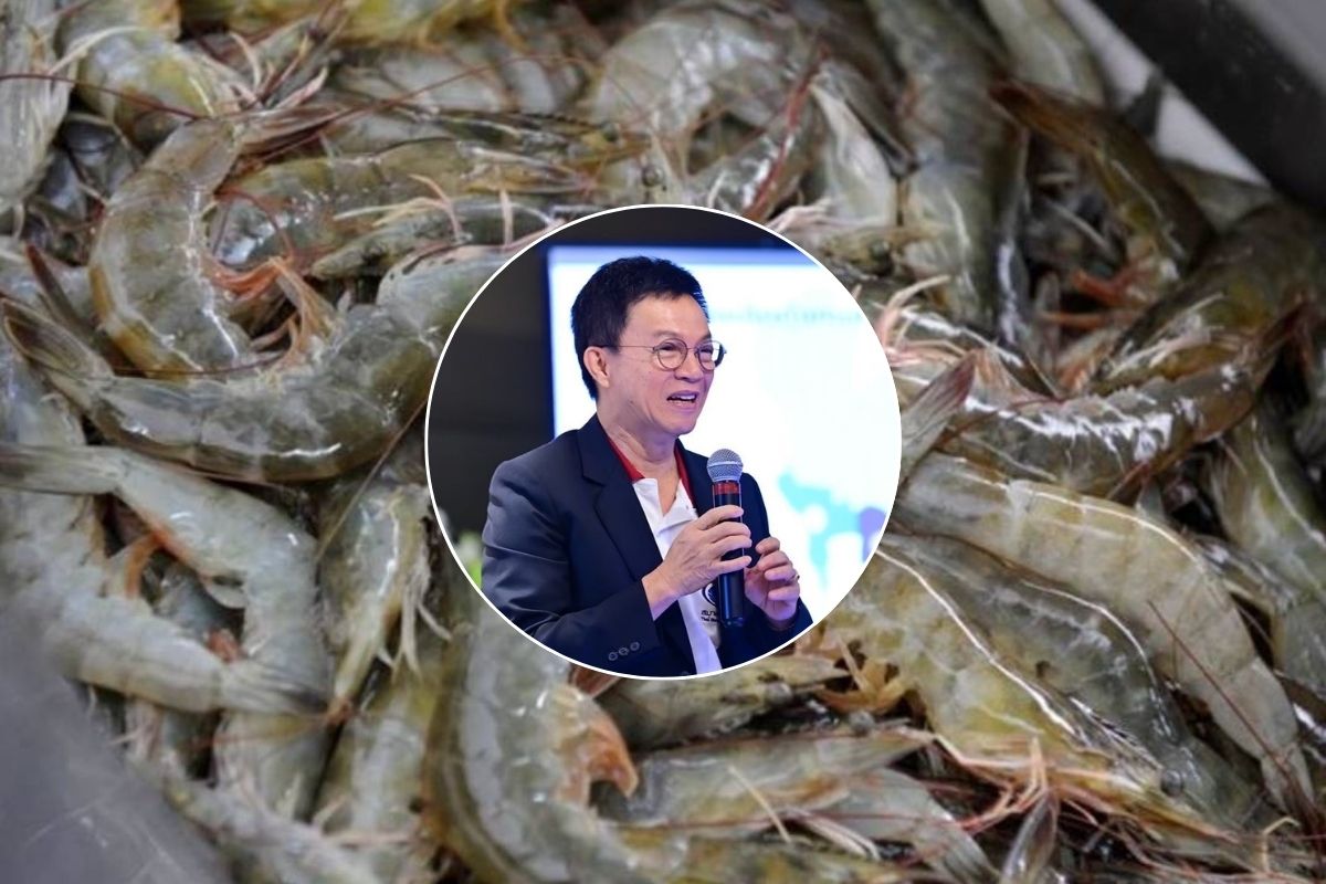 กลุ่มผู้เลี้ยงกุ้ง ยิ้มรัฐบาลแก้ปัญหา อุตสาหกรรมกุ้งทะเลไทย