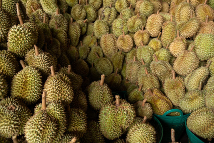 durian