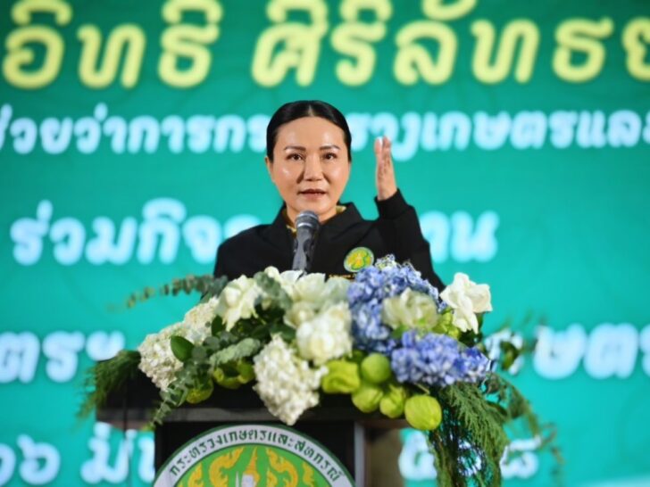 nongkhay-web