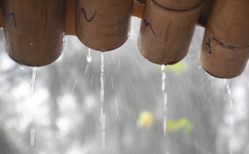 พายุ ฝนฟ้าคะนอง