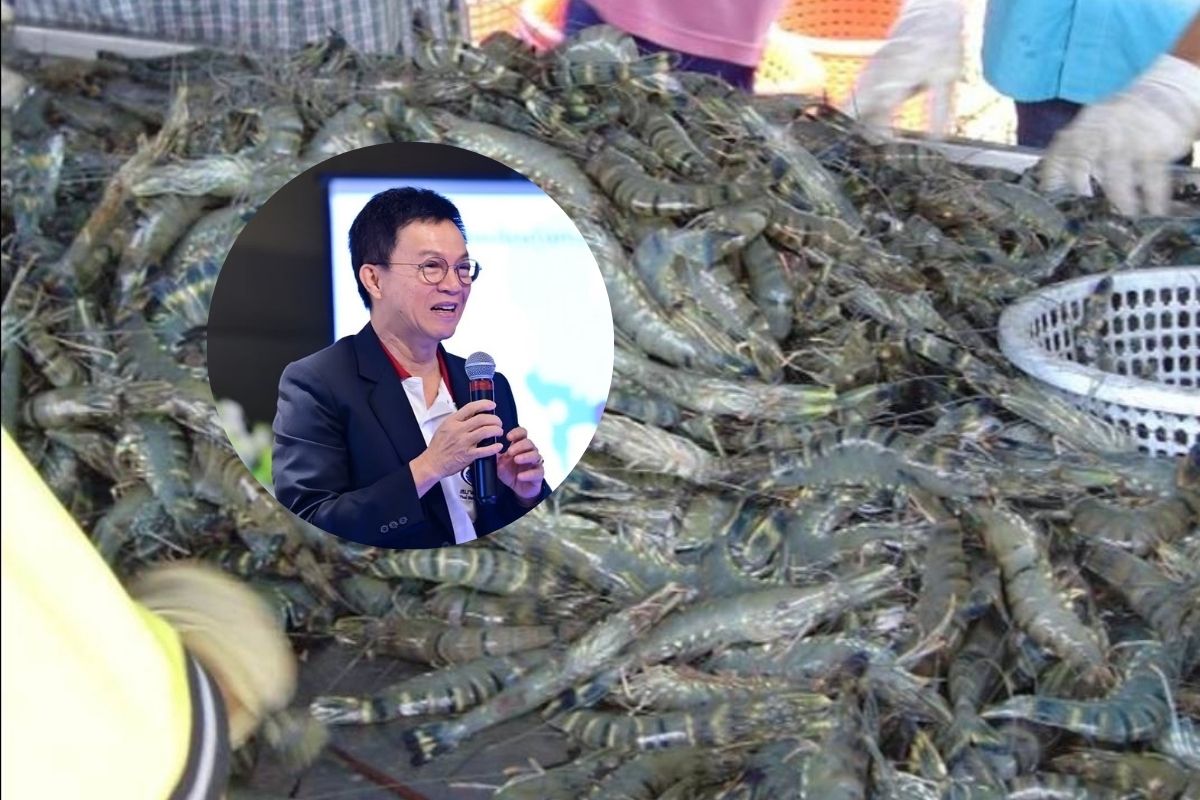 พันธมิตรผู้เลี้ยงกุ้ง 19 องค์กร หนุนต่อรองกลุ่มสินค้าเกษตรไทย-สหรัฐ