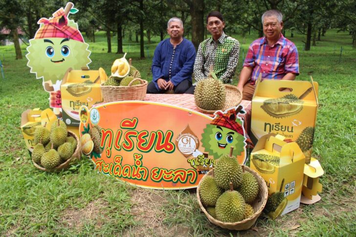 ทุเรียน