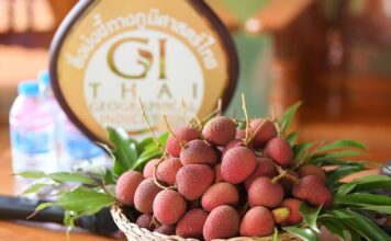 พาณิชย์ดันลิ้นจี่นครพนม GI ขยายตลาดเข้า Tops Market