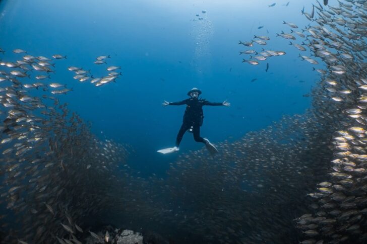 Sea อินโดฯ ครองใจนักดำน้ำเอเชีย เทรนด์ใหม่เน้นสงบ-คุ้มค่า-คุณภาพ