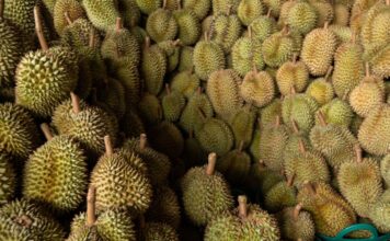 durian