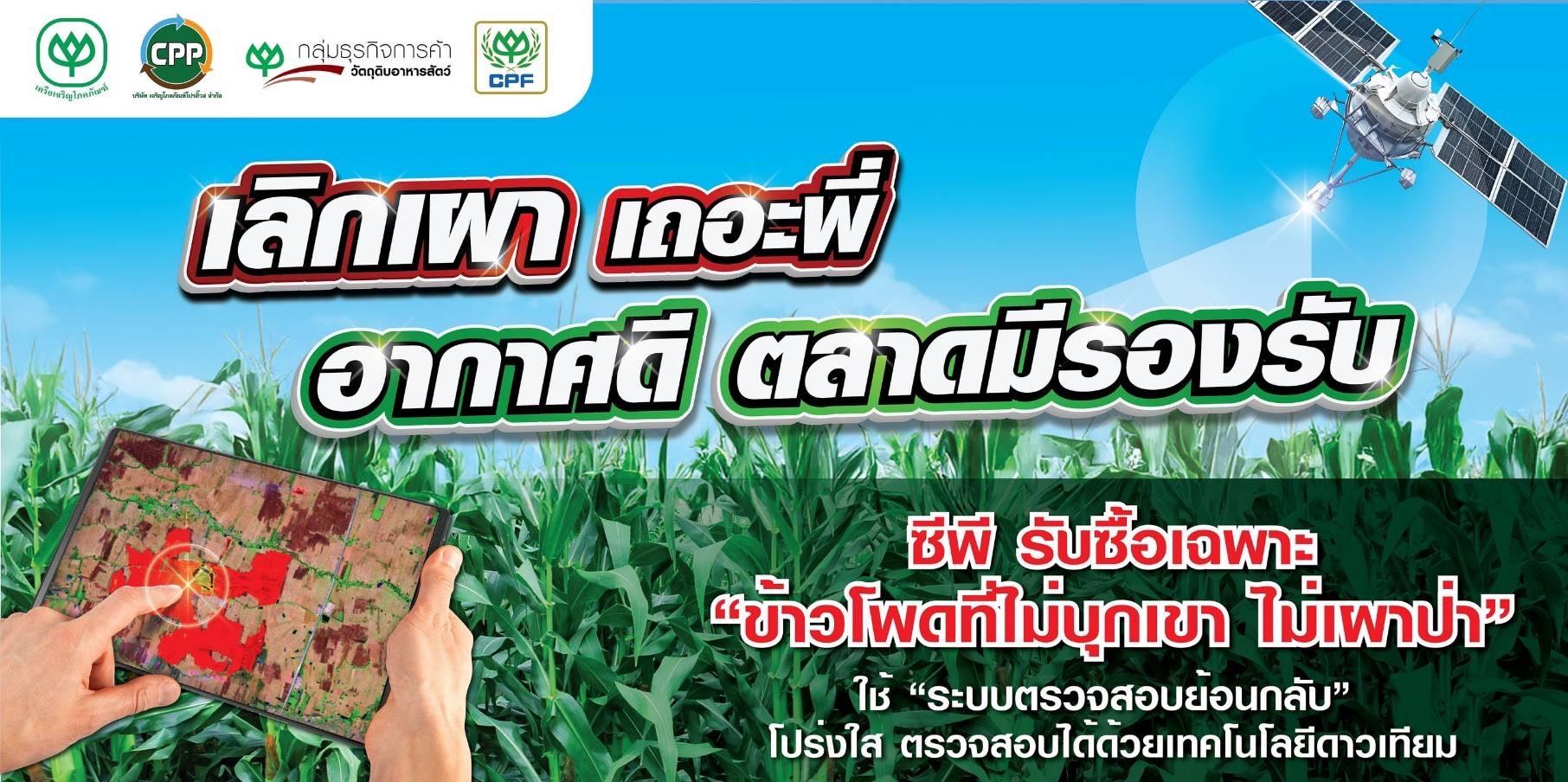กรุงเทพโปรดิ๊วส (BKP) และ เจริญโภคภัณฑ์โปรดิ๊วส (CPP)