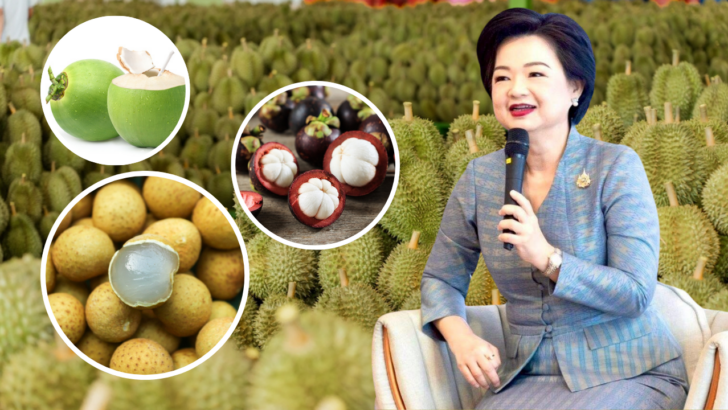 image1 “พาณิชย์”เผยผลไม้ไทยเป็นที่นิยมในตลาดยูเออี กลุ่มคนรุ่นใหม่ กลุ่มมีกำลังซื้อสูงชอบ