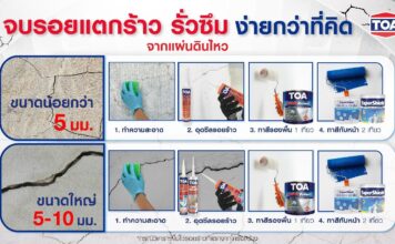 พบกับนวัตกรรมซ่อมแซม “รอยแตกร้าว” จากแผ่นดินไหว