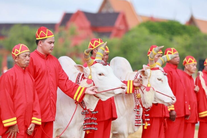 royal plan กำหนดจัดพืชมงคล ท้องสนามหลวง 8-9 พฤษภาคม 2568 นี้