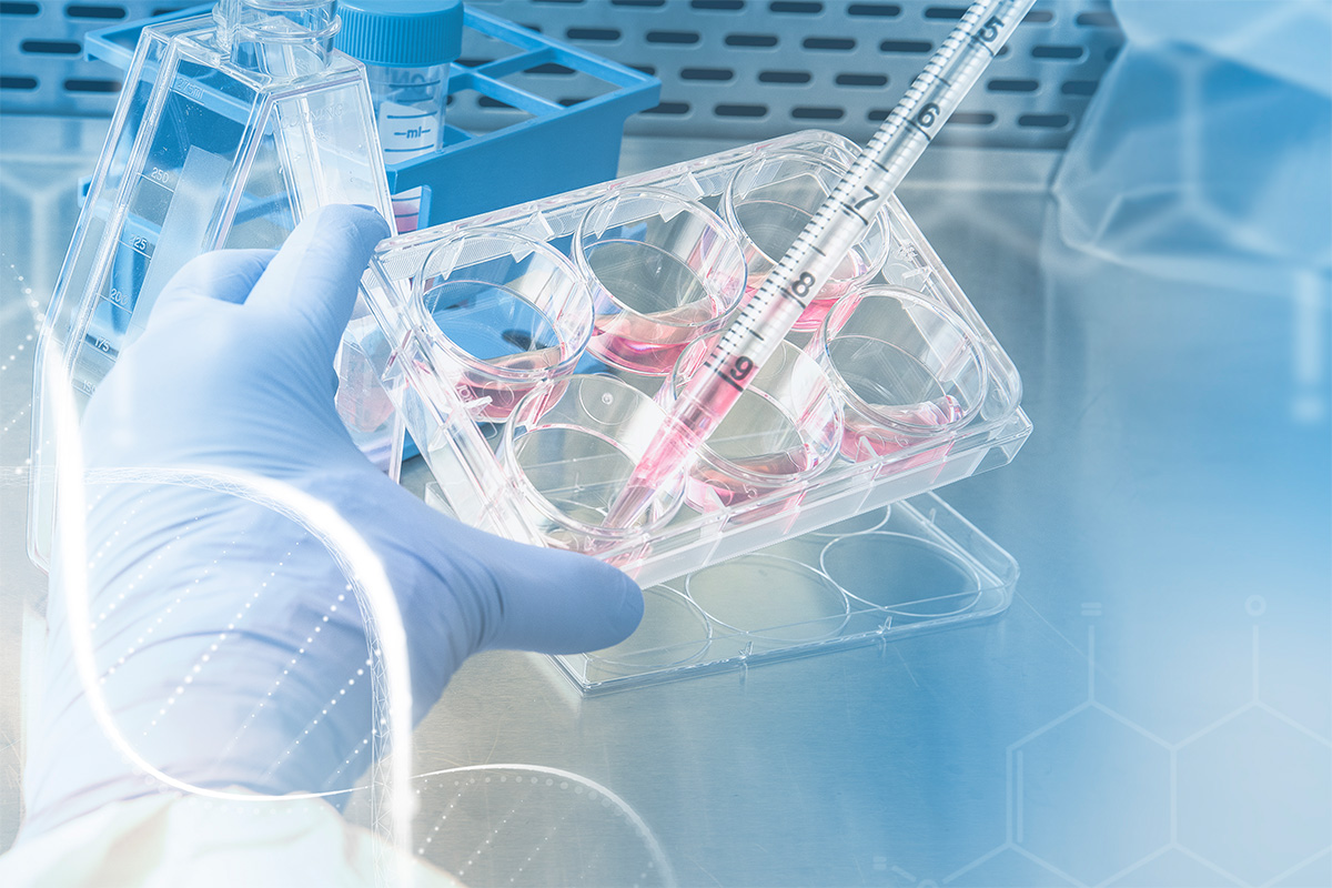 Consumer Biotechnology เทคโนโลยีชีวภาพ-การยกระดับคุณภาพชีวิต