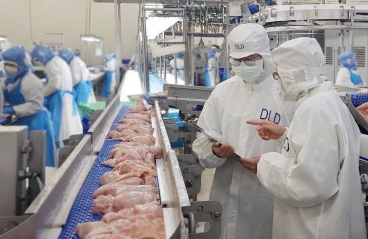 253080 ลุ้นไทยส่งออกไก่พุ่ง หลังบราซิลเจอไข้หวัดนก
