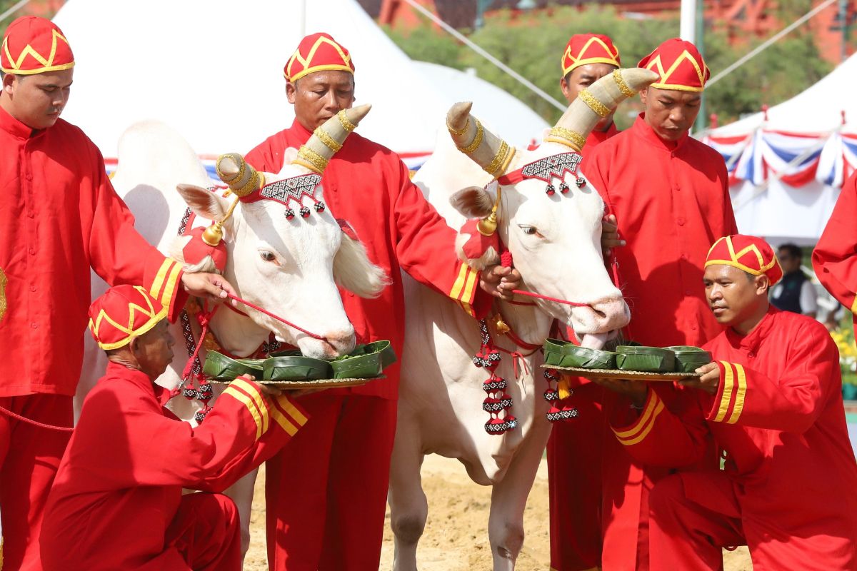 นับถอยหลัง ‘พืชมงคล 2569’ เสริมสิริมงคลฤดูเพาะปลูก แจกเมล็ดพันธุ์พระราชทานทั่วประเทศ