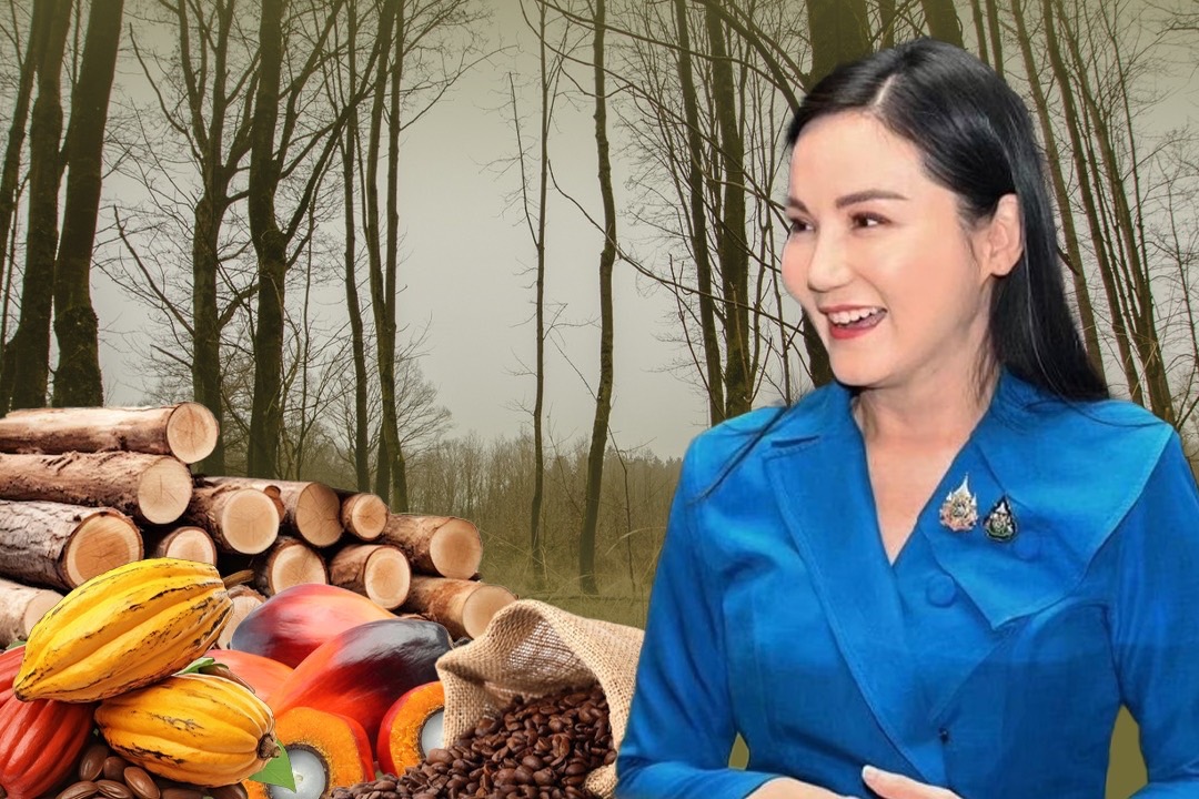 ข่าวดี! ไทยถูกจัดอยู่ในกลุ่ม Low Risk ตามกฎ EUDR เอื้อส่งออกสินค้าเกษตรไปยุโรปง่ายขึ้น