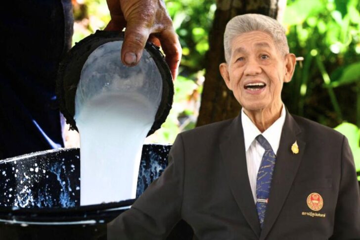 ดร.อุทัย สอนหลักทรัพย์ ยางพารา