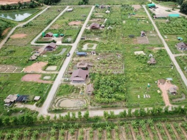 ที่ดิน ที่ดิน