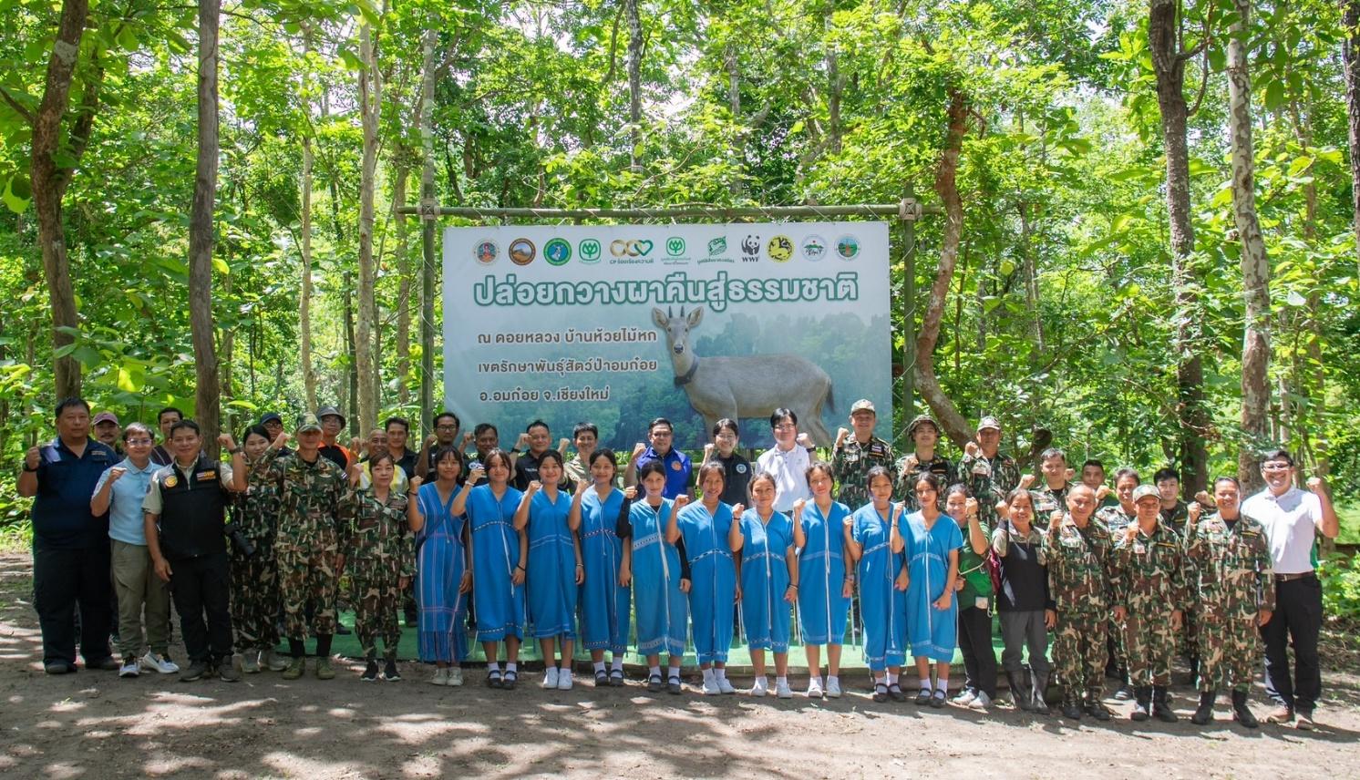 มูลนิธิซีพีร่วมปล่อยกวางผาคืนสู่ธรรมชาติ ปลุกพลังอนุรักษ์ชาวอมก๋อย