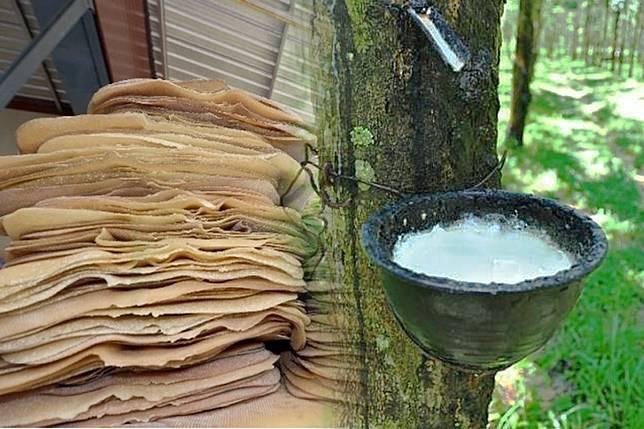 ส่องทิศทางการค้าสินค้าเกษตรไทย สศก. เผย ยังคงเติบโตได้ดีในตลาดอาเซียนและตลาดโลก