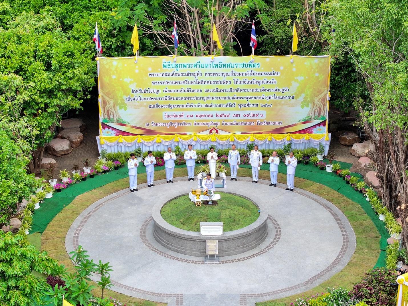 ประชาชนทั่วประเทศร่วมใจปลูก “พระศรีมหาโพธิทศมราชบพิตร” 77 จังหวัดทั่วไทย