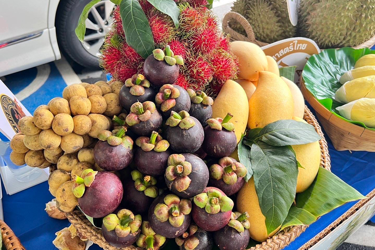 แห่เที่ยวสวนผลไม้ ‘จันท์-ตราด-ระยอง’ พ.ค.เดือนเดียวสะพัด 6,400 ล้าน