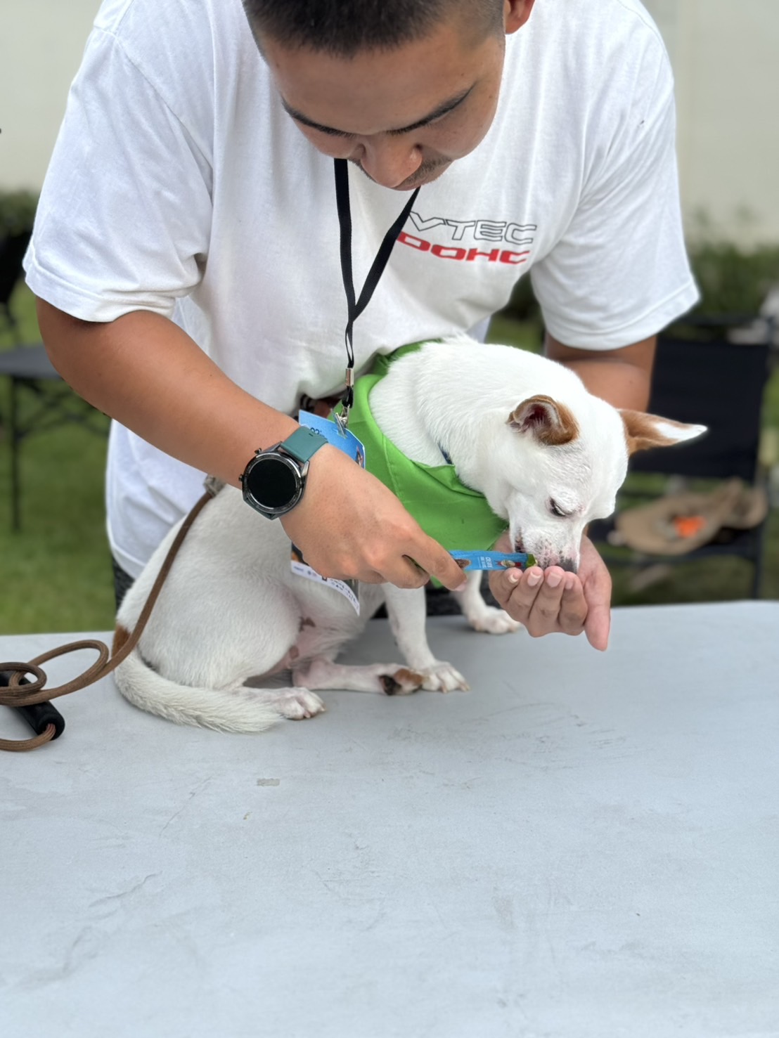 Dogvengers ปลุกพลังตลาดสัตว์เลี้ยง รับ “Dog Show 2025” ปลาย มิ.ย. นี้