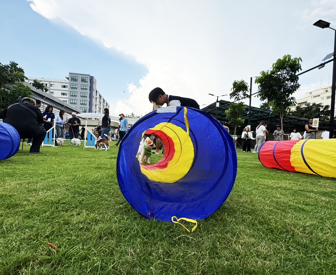 Dogvengers ปลุกพลังตลาดสัตว์เลี้ยง รับ “Dog Show 2025” ปลาย มิ.ย. นี้