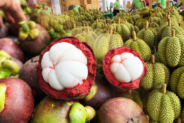 durian-mangosteen durian-mangosteen