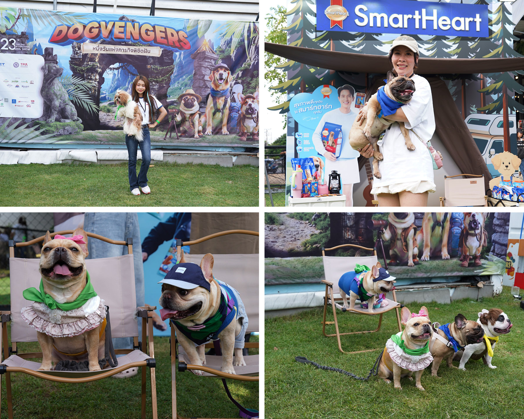 Dogvengers ปลุกพลังตลาดสัตว์เลี้ยง รับ “Dog Show 2025” ปลาย มิ.ย. นี้