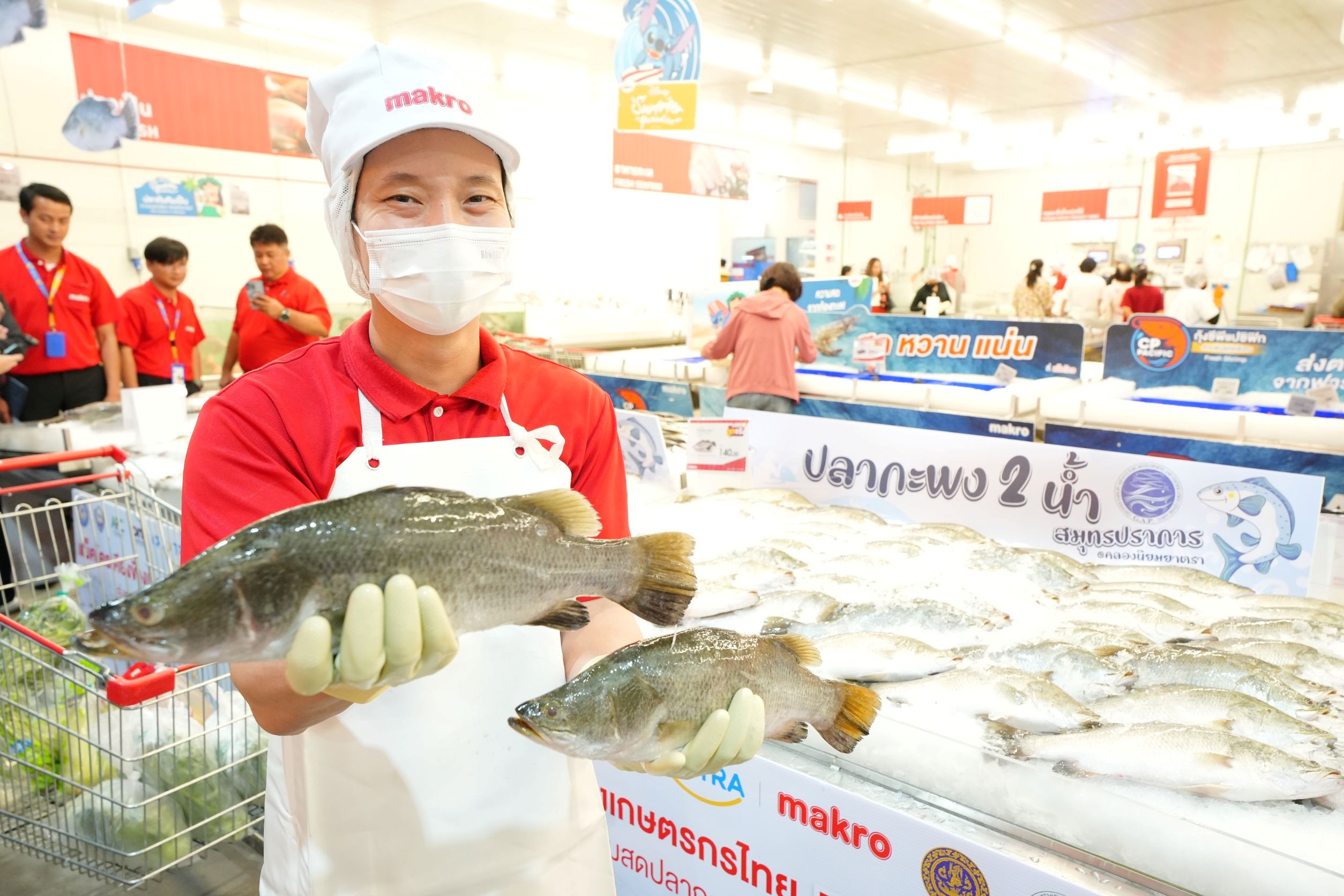 ซีพี แอ็กซ์ตร้า รับซื้อปลากะพงจากท้องถิ่น 2.4 ล้านกิโลกรัม ขายที่แม็คโคร-โลตัส