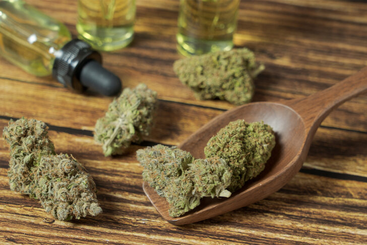 cannabis cannabis