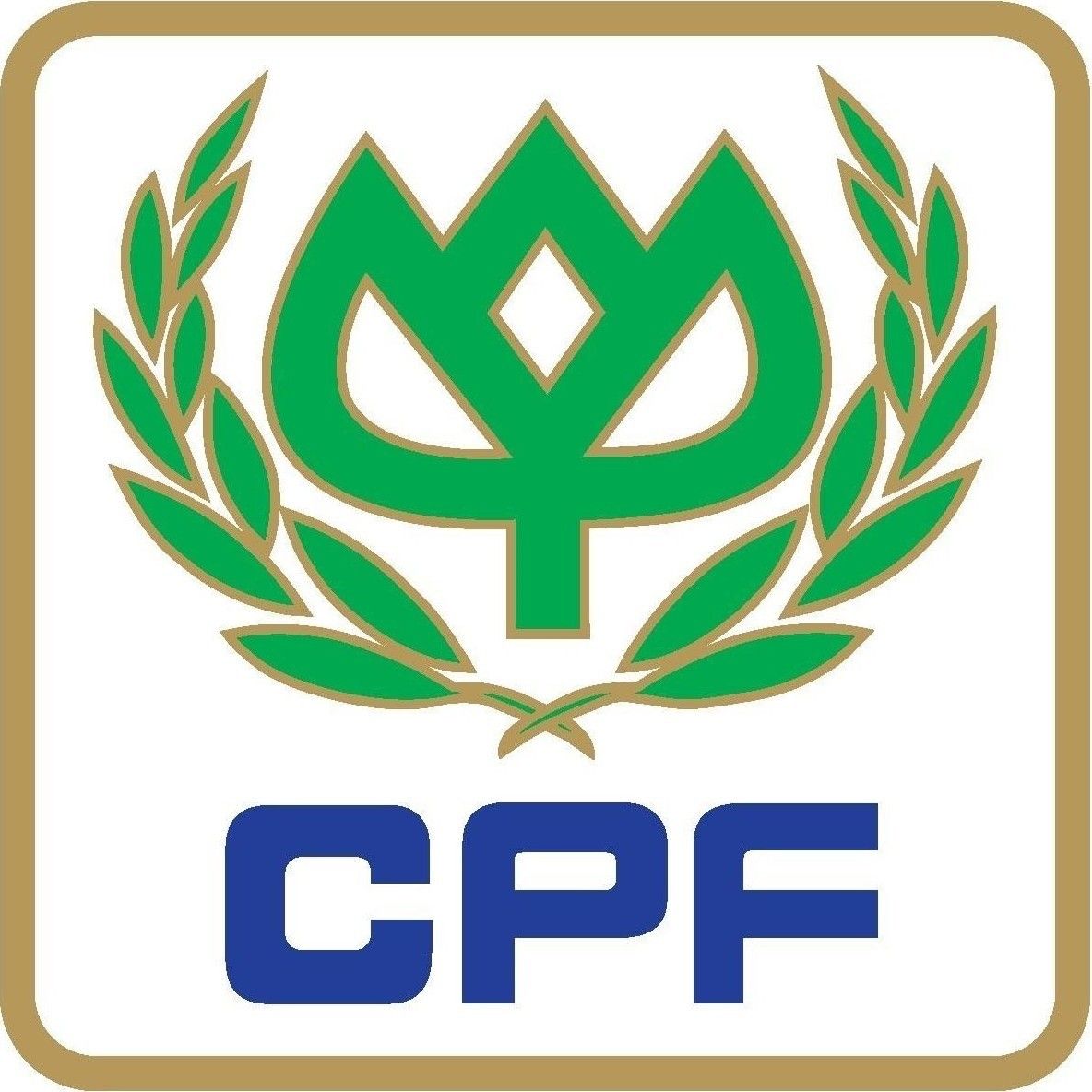 CPF ยืนยันผลการดำเนินงานยังแข็งแกร่ง
