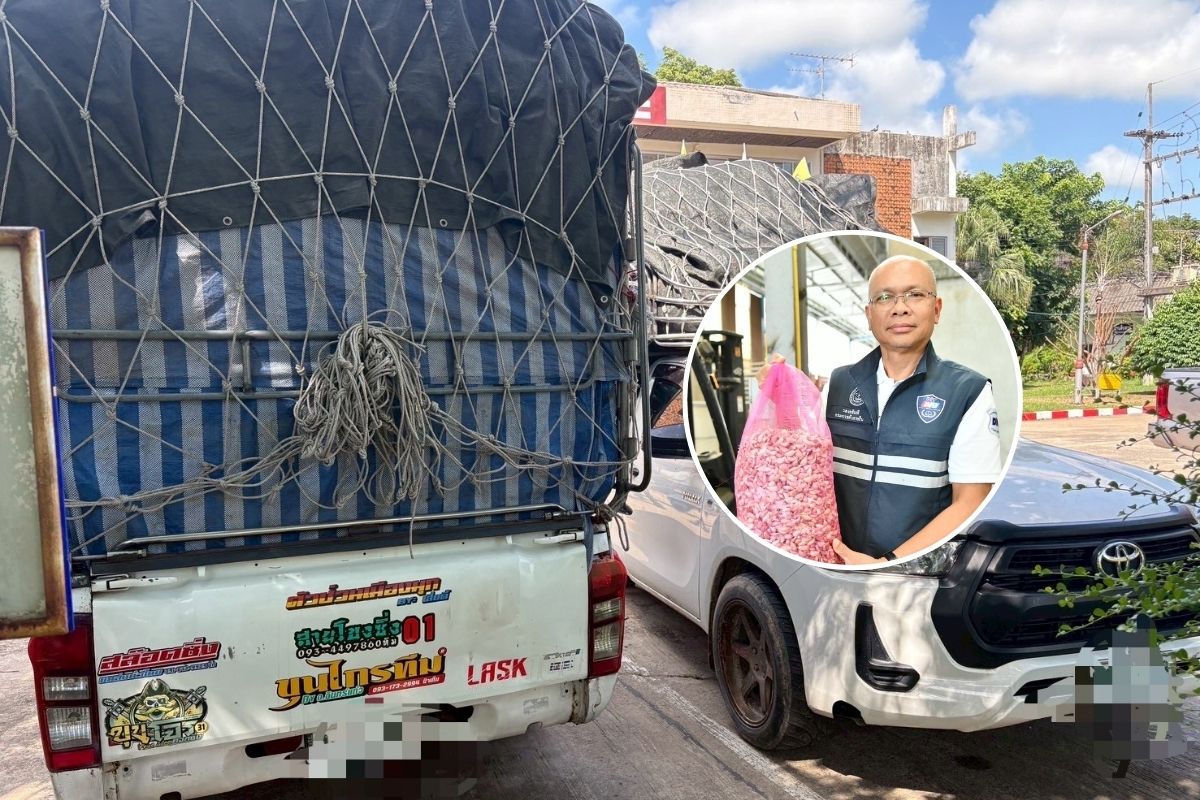 จับกระเทียมเถื่อนกว่า 8,000 กิโลกรัม ปกป้องสิทธิเกษตรกรไทย