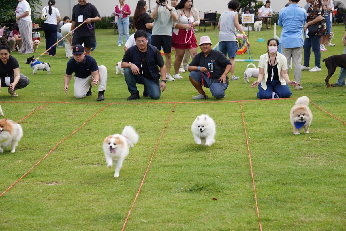 Dogvengers ปลุกพลังตลาดสัตว์เลี้ยง รับ “Dog Show 2025” ปลาย มิ.ย. นี้