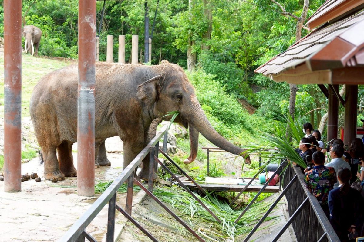 “ททท.-อสส.” ขยายฐานเที่ยวไทยเชิงเรียนรู้ ดึงนักเดินทางรุ่นใหม่ใส่ใจสิ่งแวดล้อม