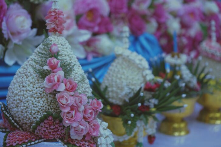 close-up-pink-flowering-plant