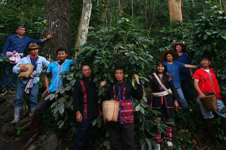 forest