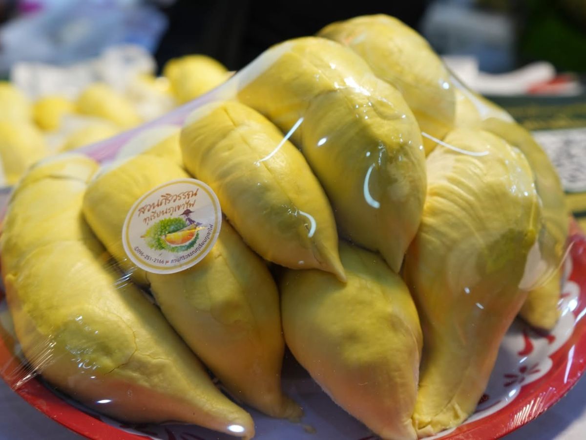ผู้ว่าฯศรีสะเกษ ดันทุเรียนภูเขาไฟ GI คาดปีนี้โต 2,800 ล้านบาท     