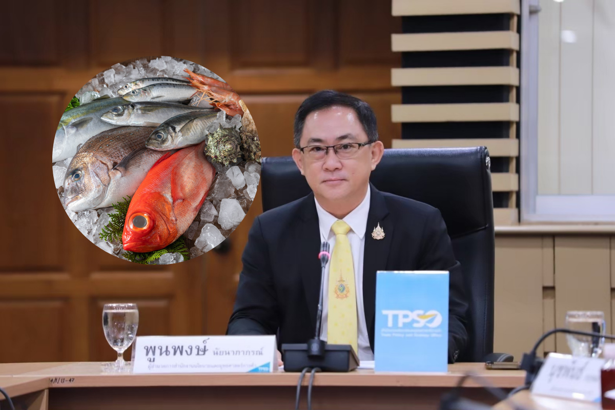 แนะไทยจับตา ส่งออกสินค้าประมง หลังจีนยกเลิกแบนอาหารทะเลญี่ปุ่น