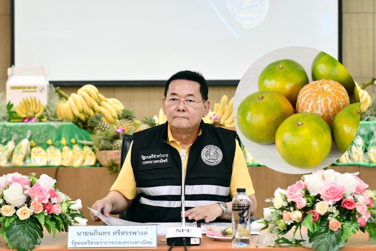 “ส้มโชกุนเบตง” ของดีแดนใต้ ขึ้น GI แล้วสร้างรายได้ทะลุ 167 ล้านบาท