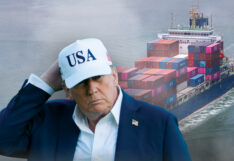 Trump exports