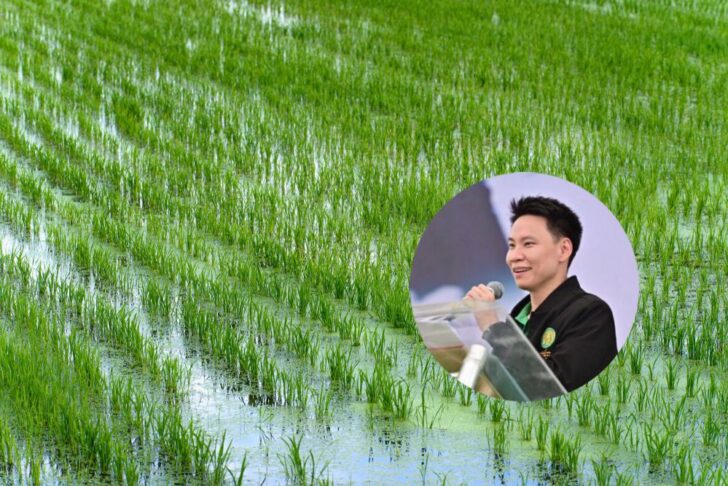 680 อรรถกร รมว.เกษตรฯ อยู่ระหว่างเตรียมข้อมูล 'ไร่ละ 1,000' ยันจะช่วยเหลือชาวนาให้ได้รับประโยชน์มากที่สุด นายอรรถกร ศิริลัทยากร รัฐมนตรีว่าการกระทรวงเกษตรและสหกรณ์ เปิดเผยว่า สำหรับความคืบหน้าของการดำเนินโครงการสนับสนุนเงินช่วยเหลือเกษตรกรผู้ปลูกข้าวนาปรัง ปี 2568 ไร่ละ 1,000 บาท ครัวเรือนละไม่เกิน 10 ไร่ ตนทราบดีถึงความต้องการ ความจำเป็นและความเดือดร้อนของเกษตรกรผู้ปลูกข้าว พร้อมได้รับทราบรายงานจากหลายภาคส่วนที่เกี่ยวข้องแล้ว ขณะนี้อยู่ระหว่างการศึกษารายละเอียดโครงการและจัดเตรียมข้อมูล ก่อนเรียกประชุมอนุกรรมการนโยบายและบริหารข้าวแห่งชาติด้านการผลิต ซึ่งคาดว่าจะมีขึ้นเร็วๆนี้ ก่อนจะนำมติจากที่ประชุมฯดังกล่าว นำเสนอต่อที่ประชุมคณะกรรมการนโยบายและบริหารข้าวแห่งชาติ (นบข.) ต่อไป พร้อมยืนยันว่าจะต้องช่วยเหลือเกษตรกรผู้ปลูกข้าวให้ได้รับผลประโยชน์ที่ดีที่สุด นายอรรถกร กล่าวว่า จากการตรวจสอบล่าสุดรัฐบาลมีงบประมาณเพียงพอ สำหรับบริหารโครงการฯดังกล่าว ซึ่งกระทรวงเกษตรและสหกรณ์จะพิจารณาในการขอใช้งบประมาณให้เกิดประสิทธิภาพและเกิดประโยชน์กับเกษตรกรให้มากที่สุด