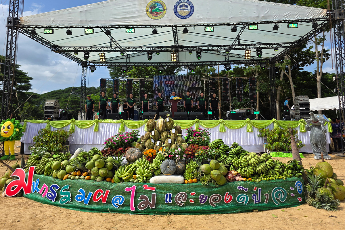 Fruit work